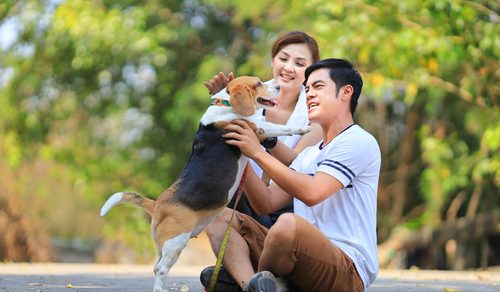 Enjoy a Living in a Pet-friendly Condo in Bangkok
