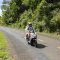 Road Trips: Exploring the Open Roads